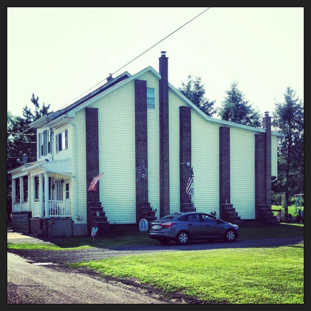 One of the last remaining houses in Centralia... a row house missing its neighbor, and therefor supported with buttresses out of brick.