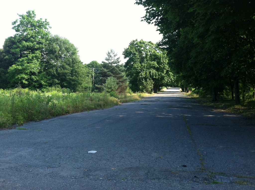 Just streets through a forest, literally!