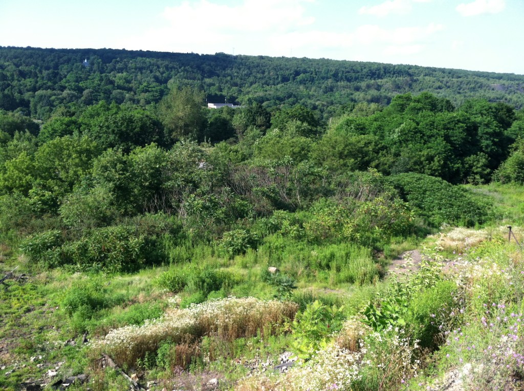 Up on the hill, overlooking Centralia (tiny blue dot in upper left corner is the church that was fascinating me)