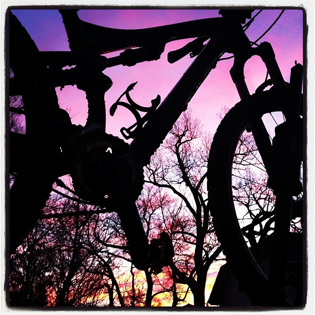 1472845_10153483318830442_583916238_n