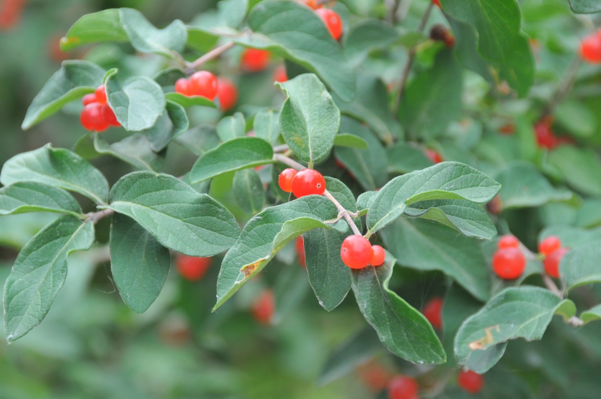 I had to kill time so I reacquainted myself with my D300 DSLR!