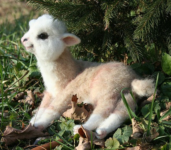 Baby-Alpaca-l