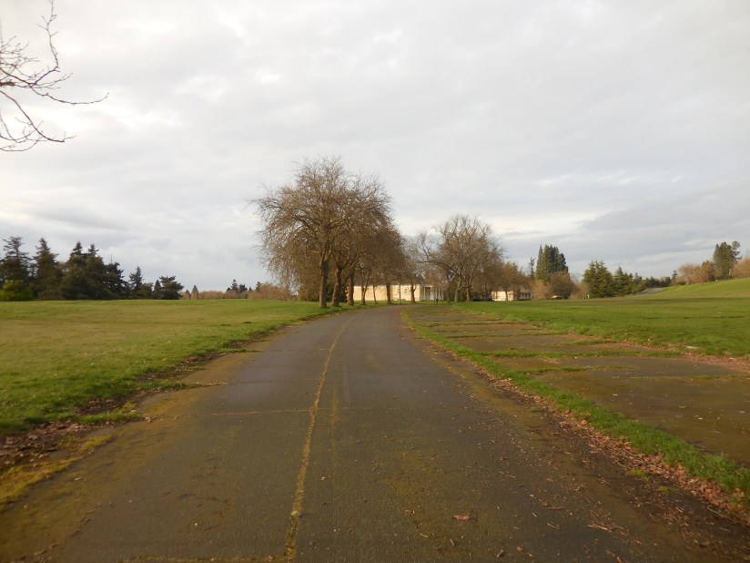 Discovery Park... pretty, but eery. And by eery I mean creepy