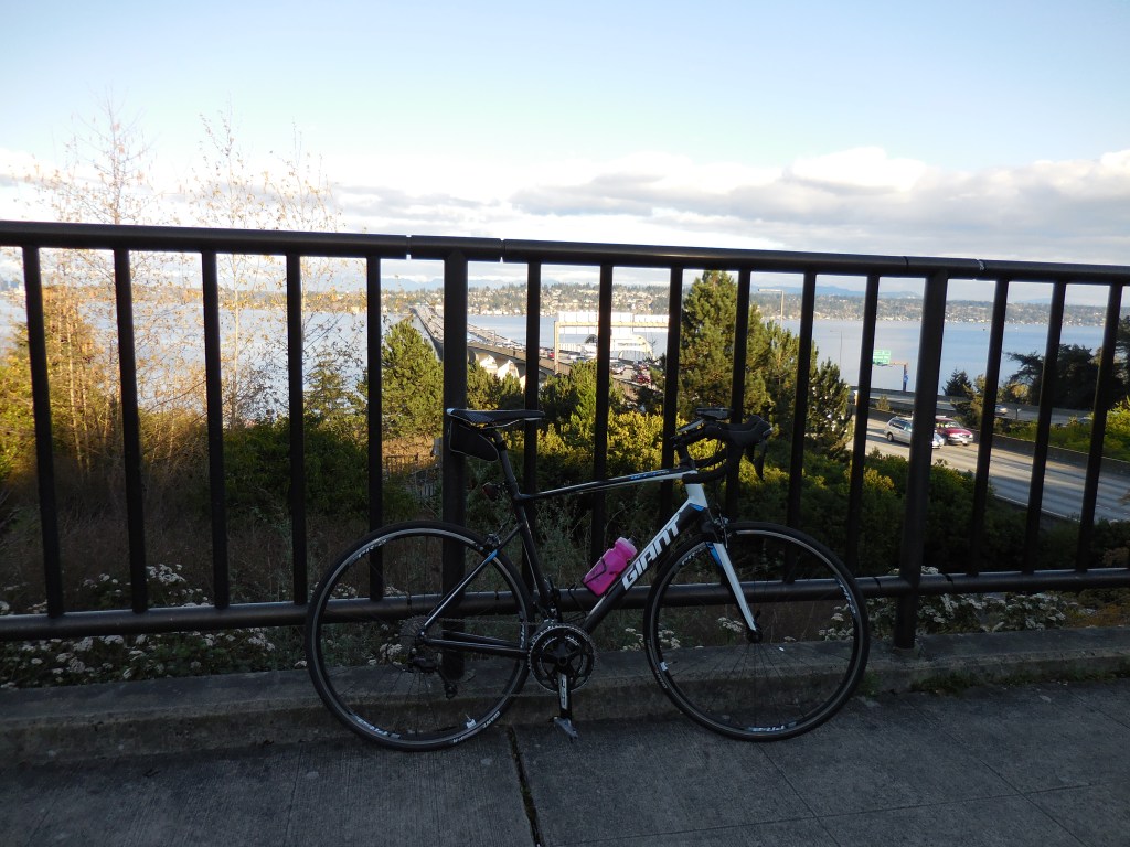 Made it across twice!  Oh, and I named this bike Bert.  