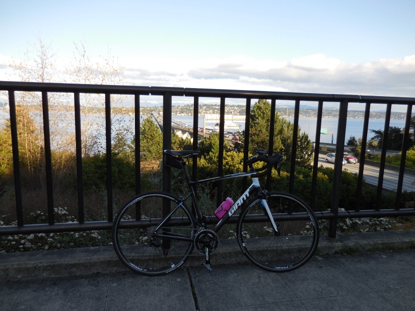 Made it across twice! Oh, and I named this bike Bert.