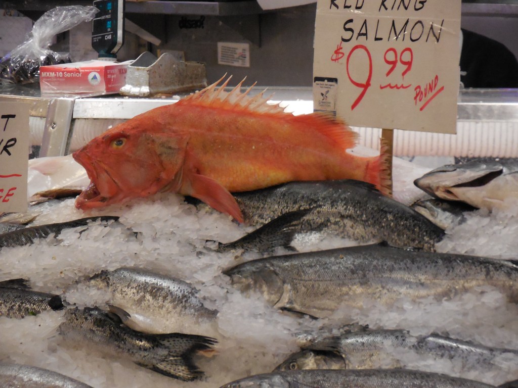 This fish was quite the character!!