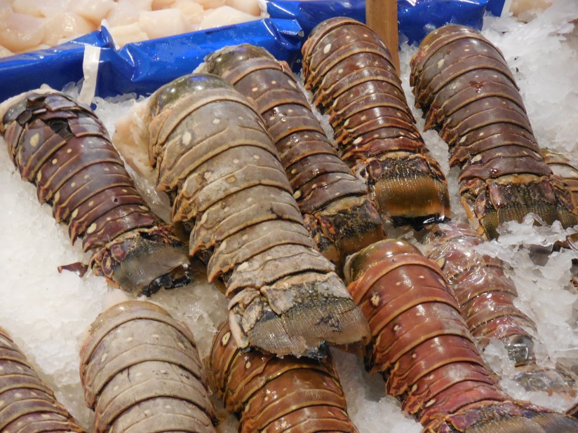 OK, lobsters look like big crusty worms to me. Yuck.