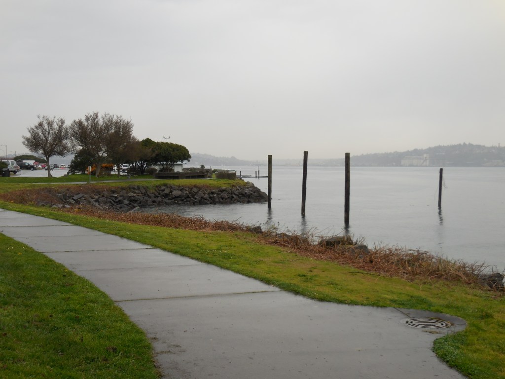 Alki Beach in the rain