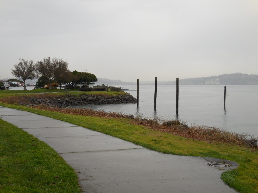 Alki Beach in the rain