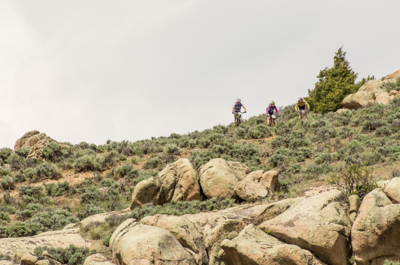 IMGP3101-(ZF-0851-52997-1-003)