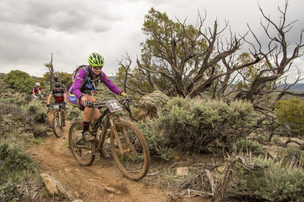 IMGP3784-(ZF-0851-52997-1-002)