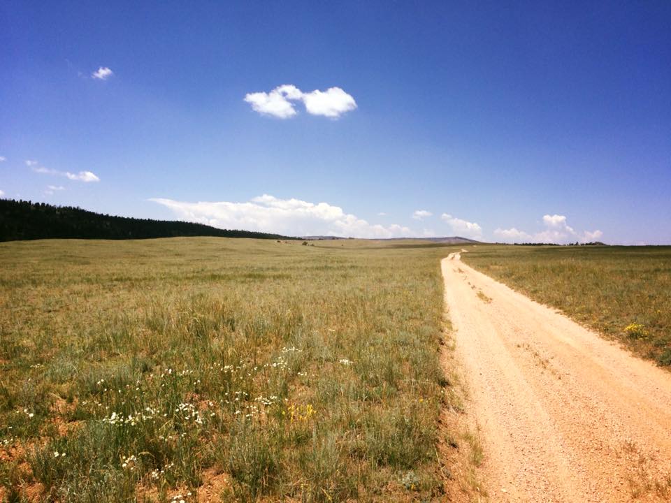 11224853_10155766961900442_1011576225984511884_n