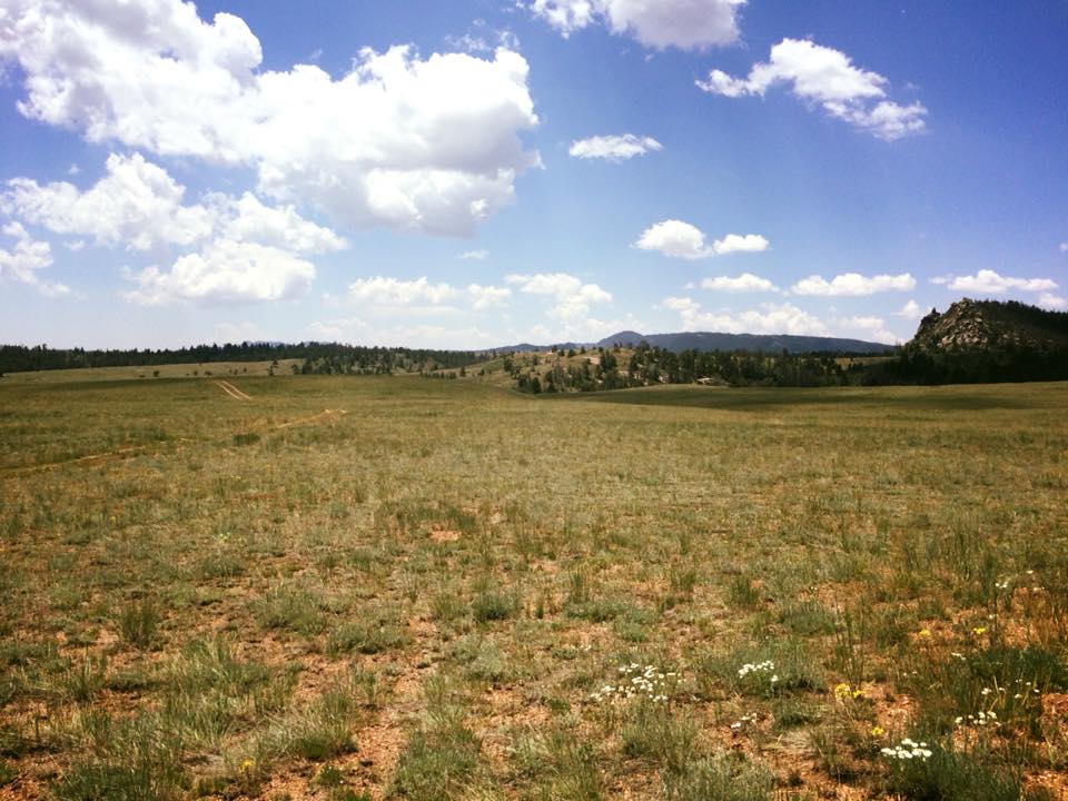 11666135_10155766961025442_1784744554749507105_n