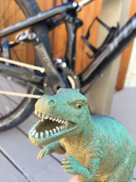 Mr. Allosaurus, my new adventure buddy, proclaims the Pedal House the best bike shop ever after getting that Epic in the background all fixed up!