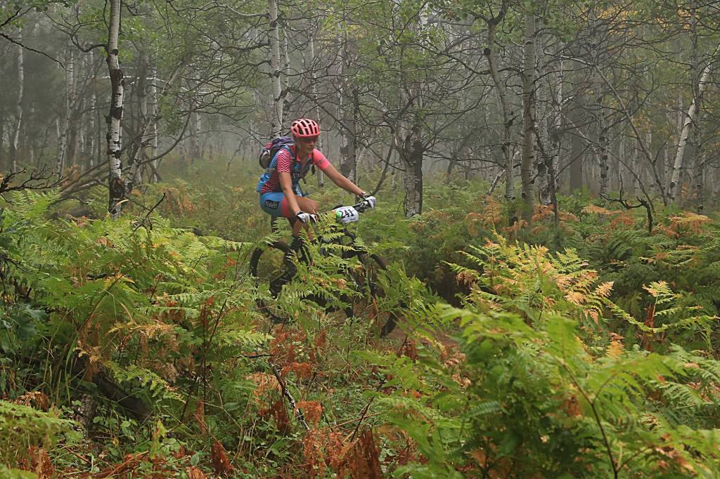 14242485_1158807650844421_856119379624522380_o